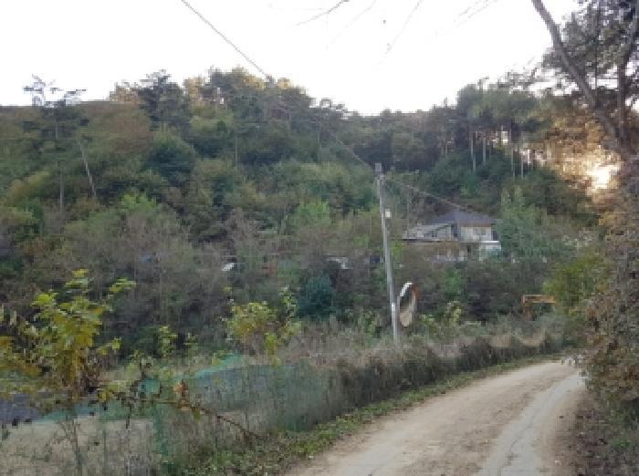 강원특별자치도 홍천군 남면 화전리 347 임야 경매 사진 9