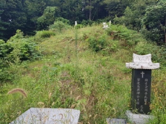 강원특별자치도 춘천시 남산면 방곡리 산20 임야 경매 사진 4