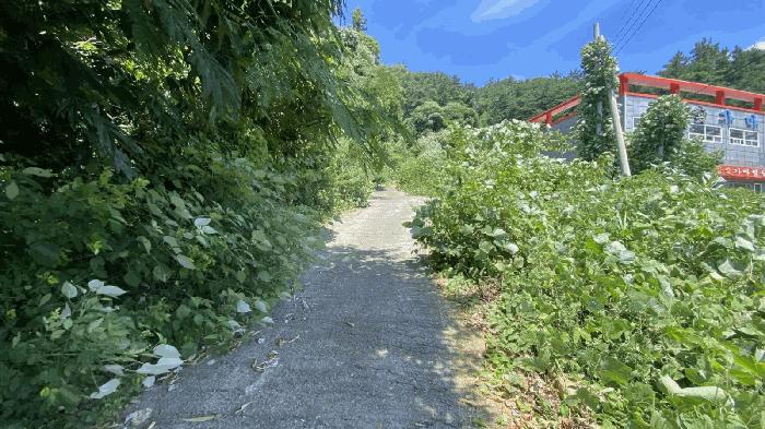 전라남도 함평군 월야면 용정리 145-4 목욕시설 경매 사진 6