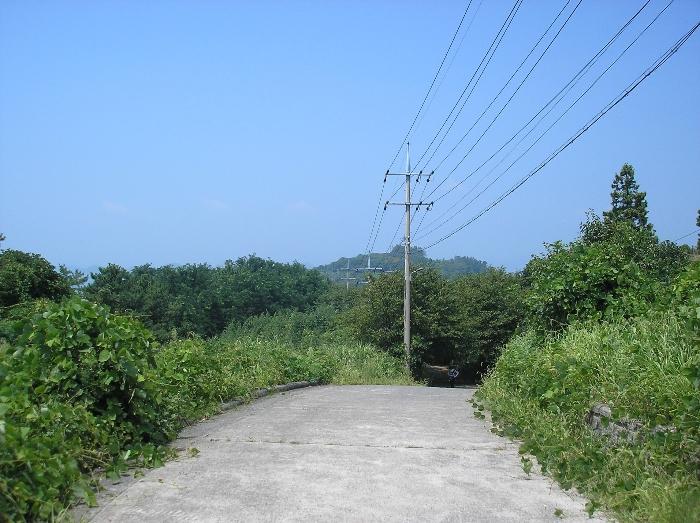 전라남도 여수시 화정면 여자리 388 전 경매 사진 16
