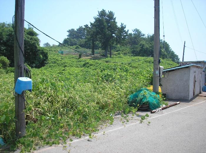 전라남도 여수시 화정면 여자리 388 전 경매 사진 4