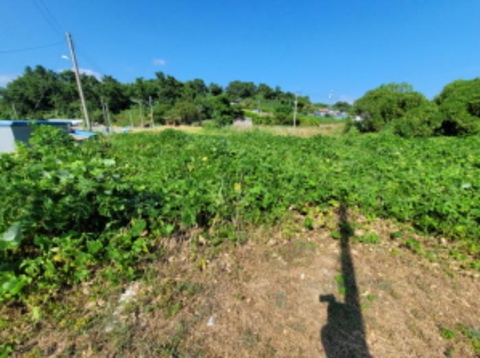전라남도 여수시 화정면 여자리 388 전 경매 사진 42