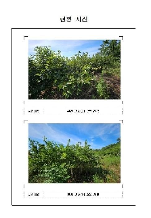 전라남도 신안군 압해읍 가룡리 산144 임야 경매 사진 24