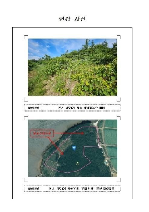 전라남도 신안군 압해읍 가룡리 산144 임야 경매 사진 25