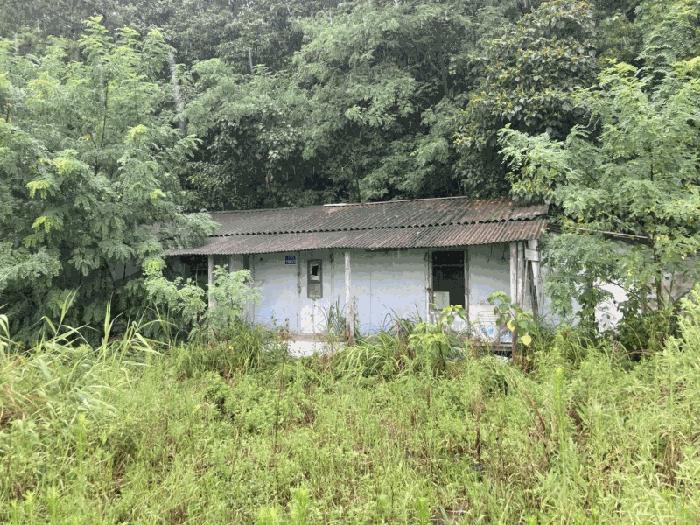 전라남도 신안군 압해읍 가룡리 산144 임야 경매 사진 6