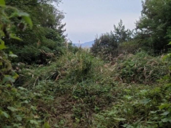 전라남도 순천시 조례동 1432-3 4층402호 다세대(빌라) 경매 사진 18