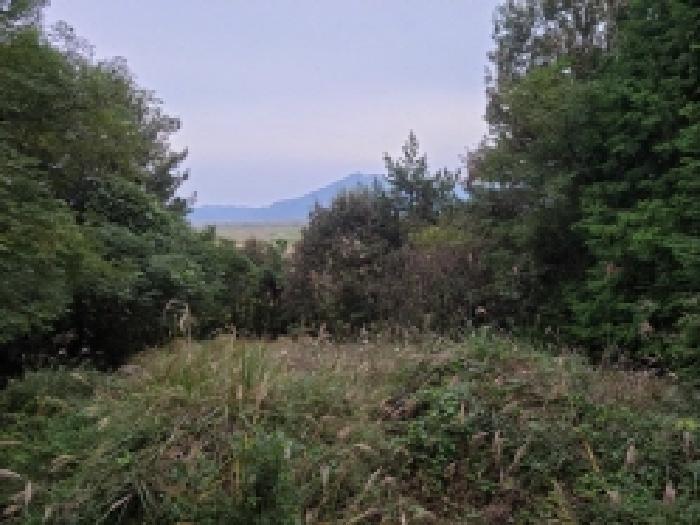 전라남도 순천시 조례동 1432-3 4층402호 다세대(빌라) 경매 사진 20