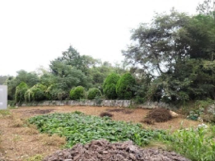 전라남도 순천시 조례동 1432-3 4층402호 다세대(빌라) 경매 사진 22