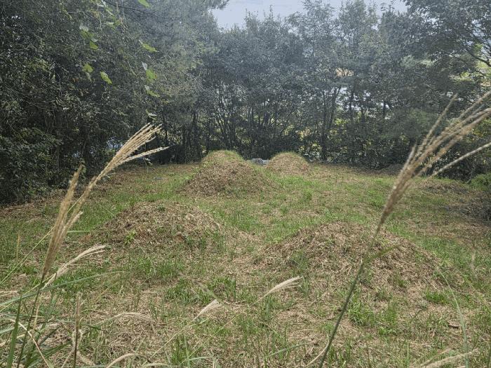 전라남도 순천시 조례동 1432-3 4층402호 다세대(빌라) 경매 사진 4