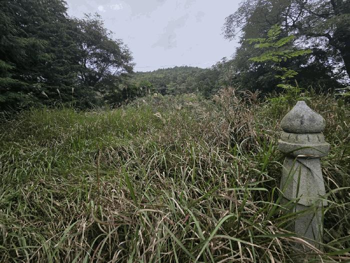 전라남도 순천시 조례동 1432-3 4층402호 다세대(빌라) 경매 사진 8