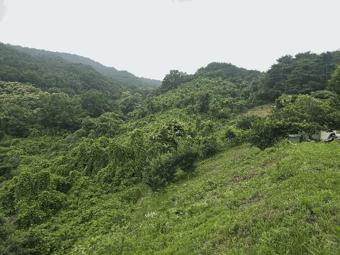 전라남도 광양시 옥곡면 수평리 산130-2 임야 경매 사진 3