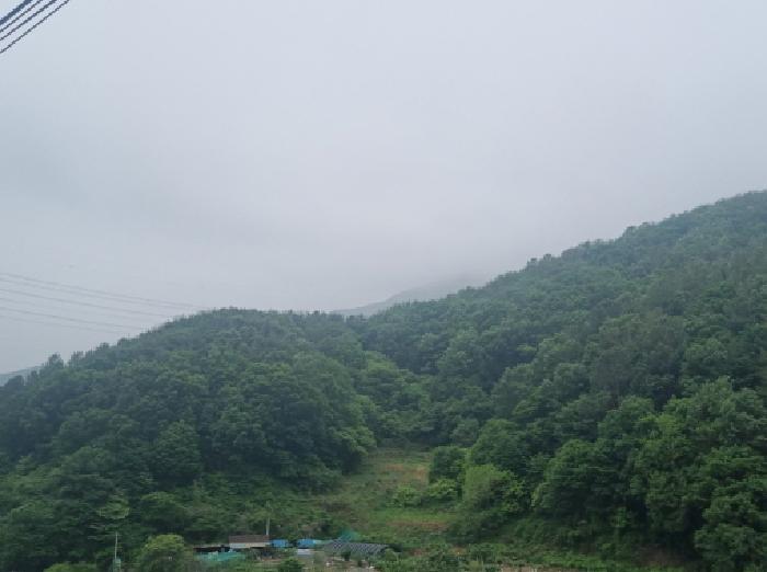 전라남도 광양시 옥곡면 수평리 산130-2 임야 경매 사진 30