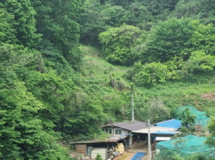 전라남도 광양시 옥곡면 수평리 산130-2 임야 경매 사진 32