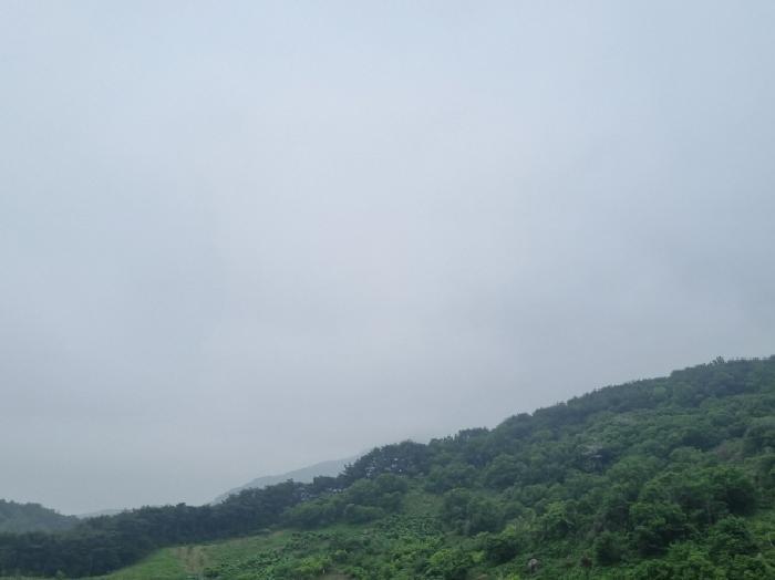 전라남도 광양시 옥곡면 수평리 산130-2 임야 경매 사진 40