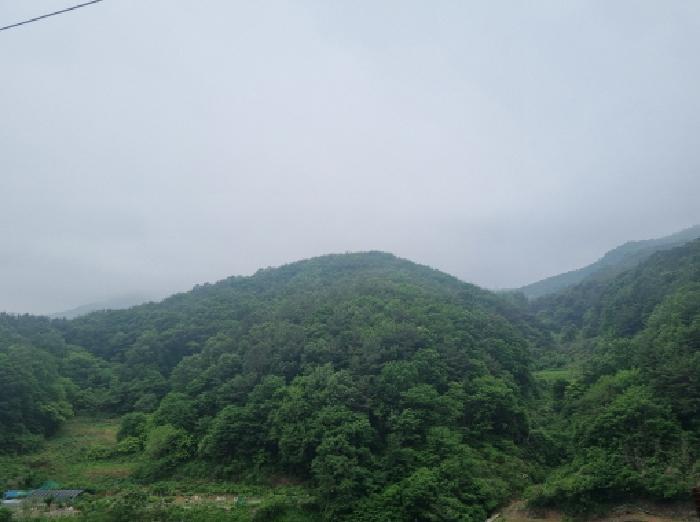전라남도 광양시 옥곡면 수평리 산130-2 임야 경매 사진 44