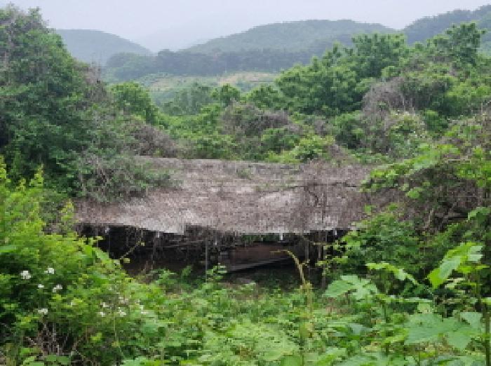전라남도 광양시 옥곡면 수평리 산130-2 임야 경매 사진 52