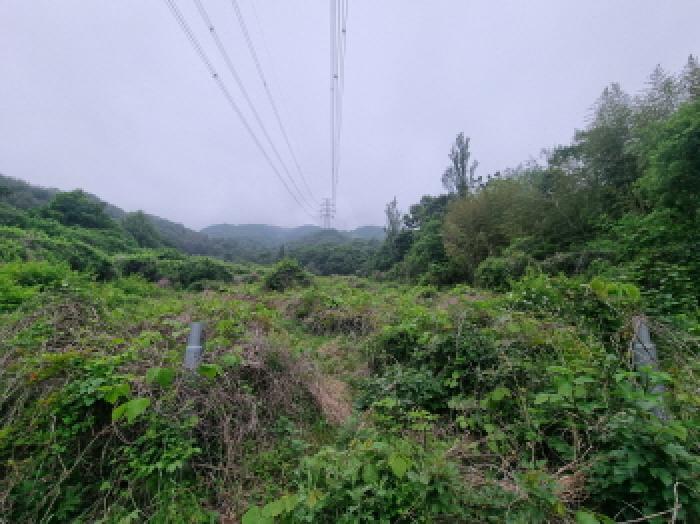 전라남도 광양시 옥곡면 수평리 산130-2 임야 경매 사진 54