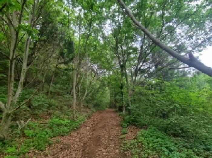 전라남도 광양시 옥곡면 수평리 산130-2 임야 경매 사진 57