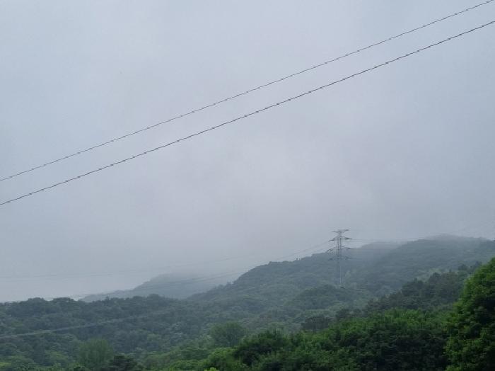 전라남도 광양시 옥곡면 수평리 산130-2 임야 경매 사진 59
