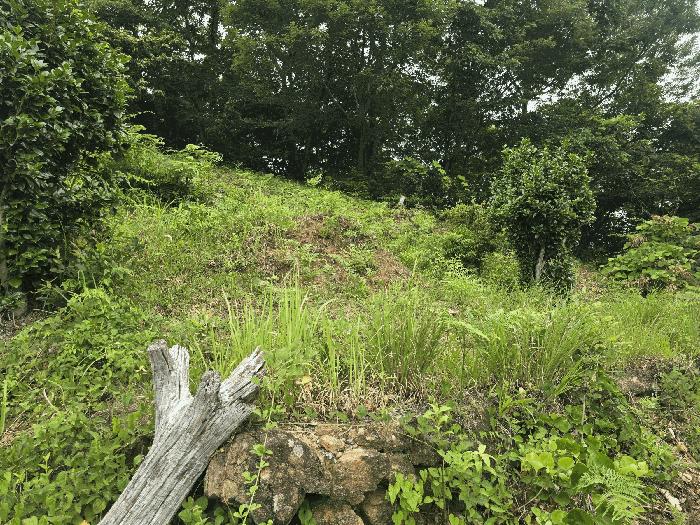 전라남도 광양시 옥곡면 수평리 산176-1 임야 경매 사진 10