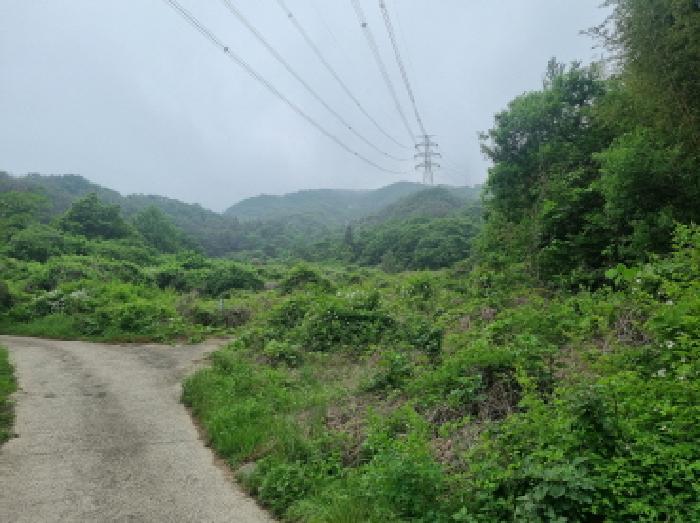 전라남도 광양시 옥곡면 수평리 산176-1 임야 경매 사진 16