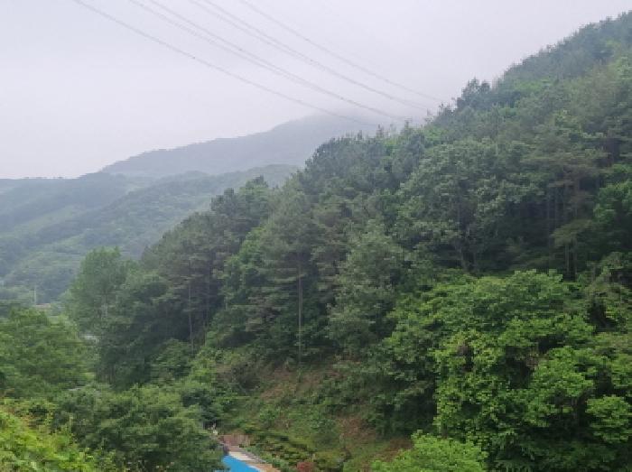전라남도 광양시 옥곡면 수평리 산176-1 임야 경매 사진 33