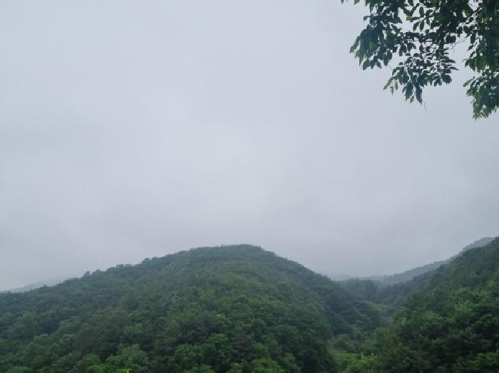 전라남도 광양시 옥곡면 수평리 산176-1 임야 경매 사진 43