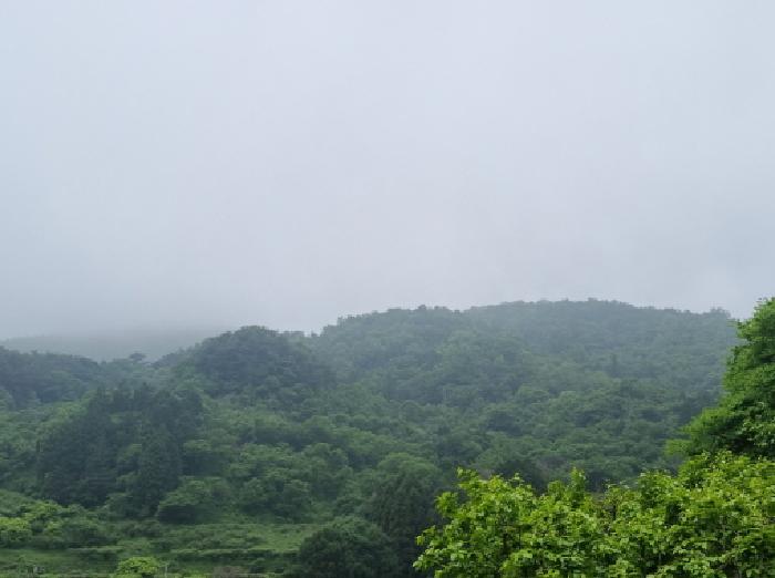 전라남도 광양시 옥곡면 수평리 산176-1 임야 경매 사진 46