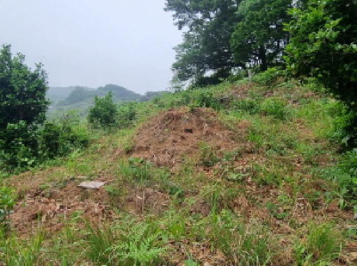 전라남도 광양시 옥곡면 수평리 산176-1 임야 경매 사진 48