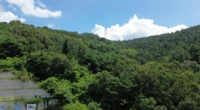전북특별자치도 전주시 완산구 석구동 산177-4 임야 경매 사진 11