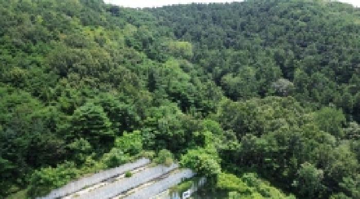 전북특별자치도 전주시 완산구 석구동 산177-4 임야 경매 사진 13