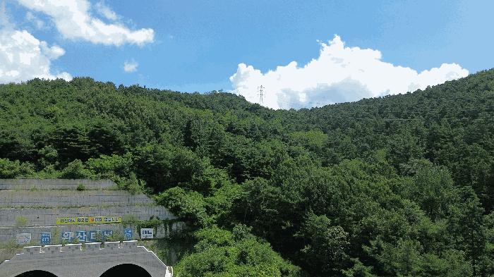 전북특별자치도 전주시 완산구 석구동 산177-4 임야 경매 사진 3