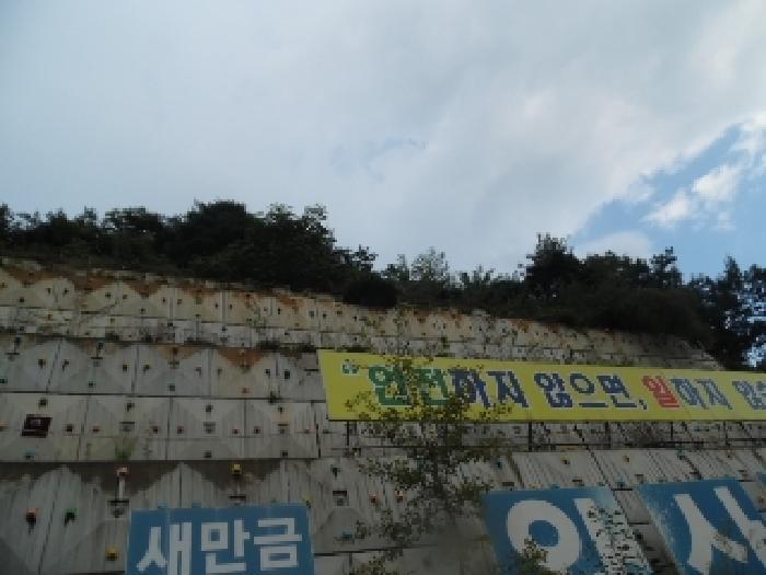 전북특별자치도 전주시 완산구 석구동 산177-4 임야 경매 사진 9