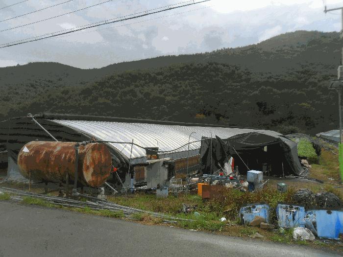 경상남도 밀양시 부북면 대항리 531 답 경매 사진 2