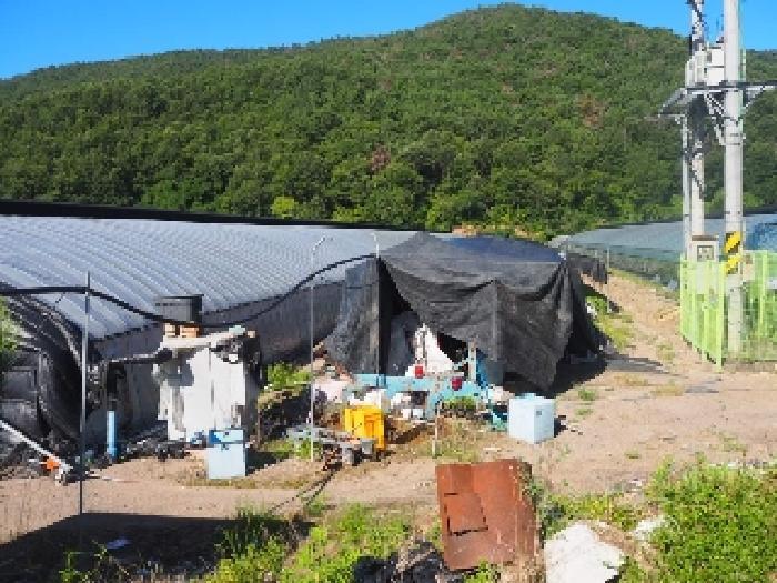 경상남도 밀양시 부북면 대항리 531 답 경매 사진 5