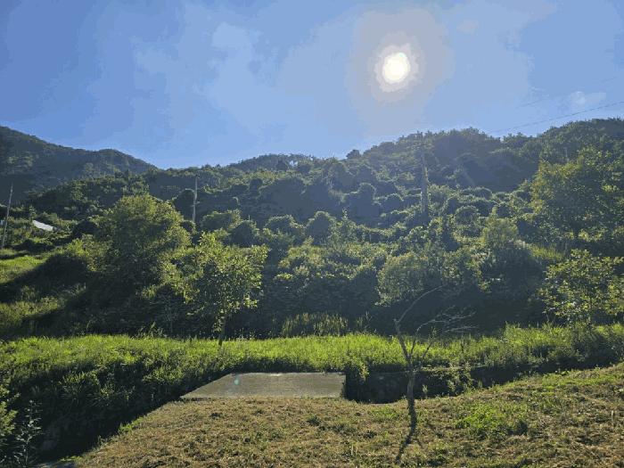 경상남도 밀양시 단장면 법흥리 767 답 경매 사진 3
