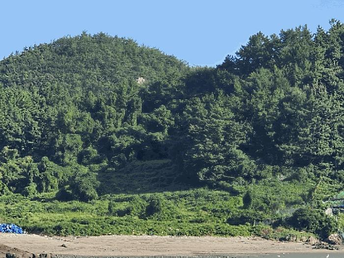 전라남도 고흥군 도화면 구암리 766-16 전 경매 사진 1