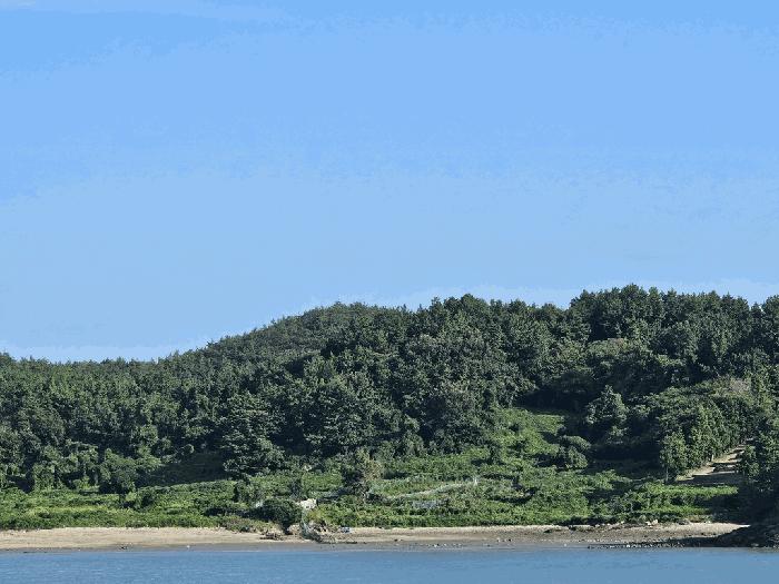 전라남도 고흥군 도화면 구암리 766-16 전 경매 사진 12