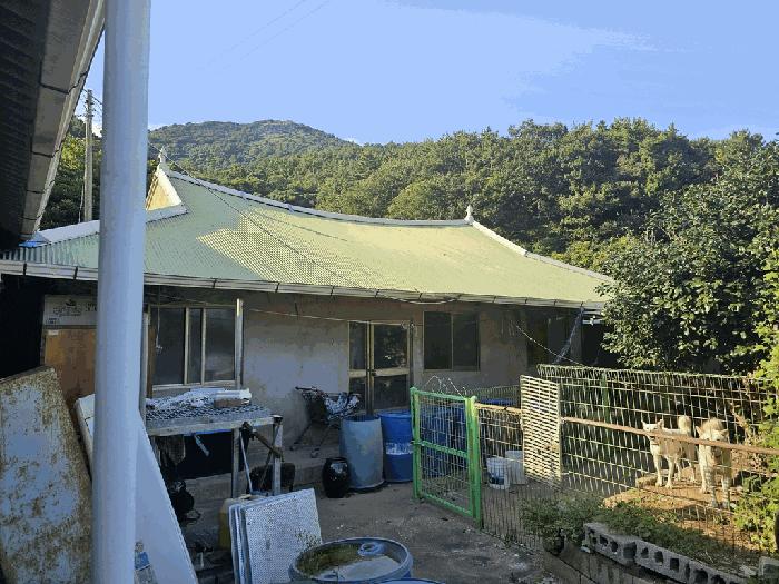 전라남도 고흥군 도화면 구암리 766-16 전 경매 사진 4