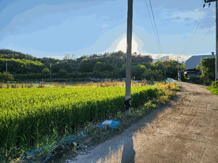 경상남도 창녕군 이방면 동산리 14 전 경매 사진 11