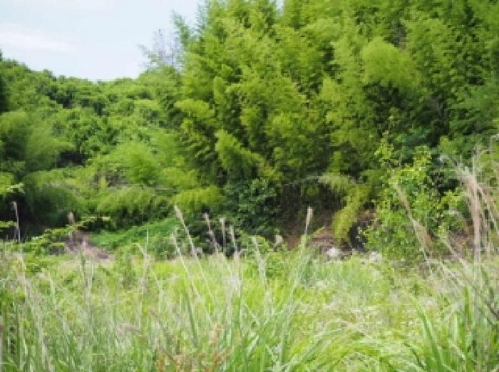 경상남도 창녕군 이방면 동산리 14 전 경매 사진 17