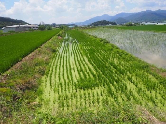 경상남도 밀양시 부북면 무연리 416-5 답 경매 사진 5