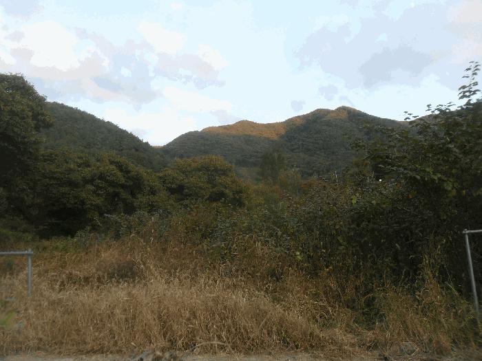 경상남도 밀양시 답