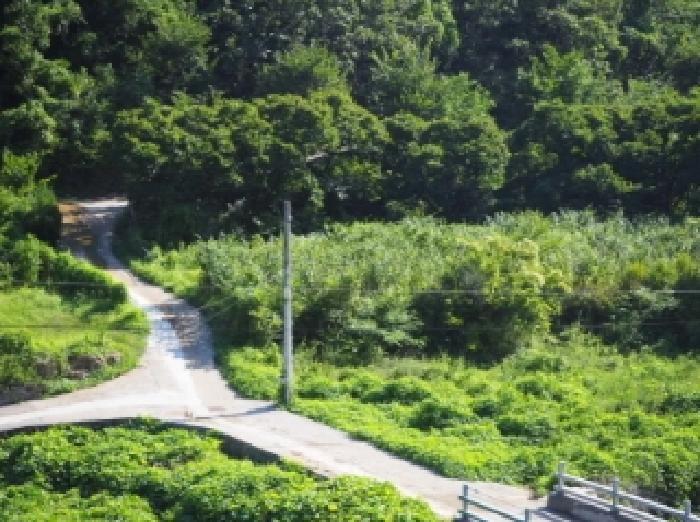 경상남도 밀양시 단장면 국전리 464 답 경매 사진 5