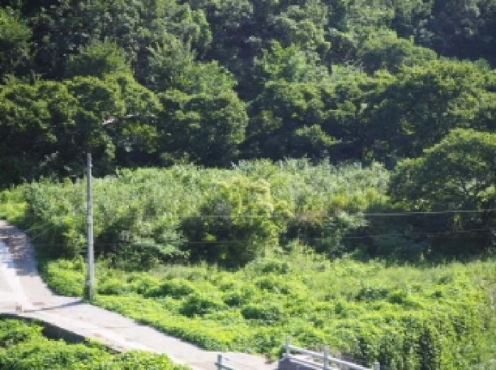 경상남도 밀양시 단장면 국전리 464 답 경매 사진 6