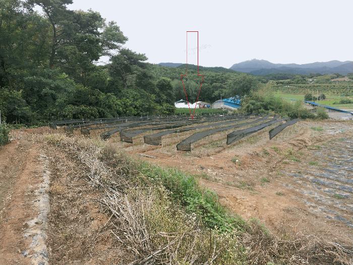 전북특별자치도 부안군 하서면 장신리 205-1 전 경매 사진 1