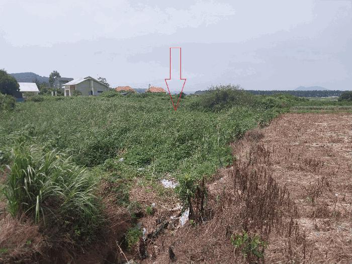 전북특별자치도 부안군 변산면 운산리 353-9 전 경매 사진 2