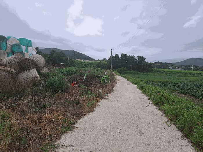 전북특별자치도 고창군 성송면 계당리 1053 답 경매 사진 4