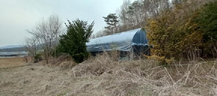 경기도 포천시 신북면 계류리 543-1 근린시설 경매 사진 28
