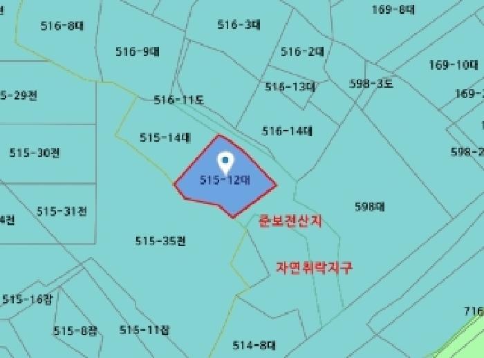 세종특별자치시 장군면 대교리 515-12 주택 경매 사진 23